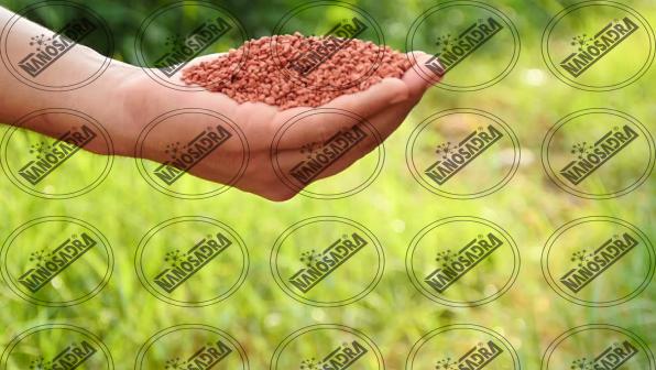 The preparation of organic liquid fertilizer 