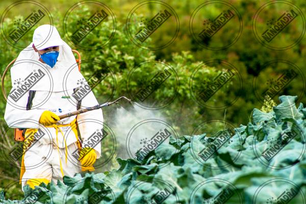  Wholesale price of organic liquid fertilizer in Iran 2019
