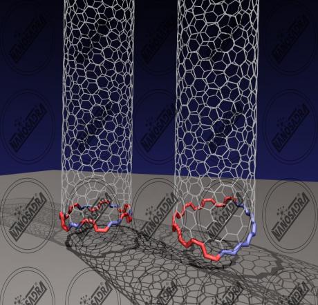  Is it OK to buy nanotubes in bulk online?